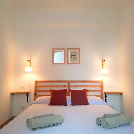 Lalibellula בורדיגרה